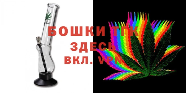 хмурый Липки