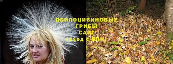 PSILOCYBIN Лихославль
