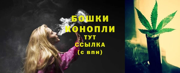 ECSTASY Ладушкин