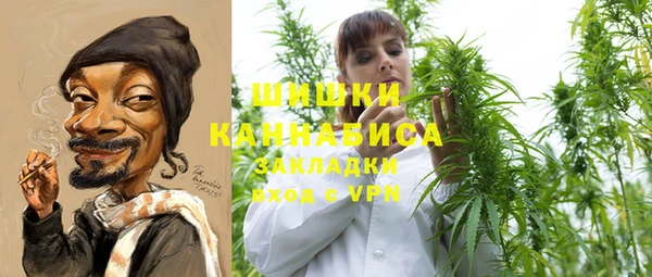 PSILOCYBIN Лихославль