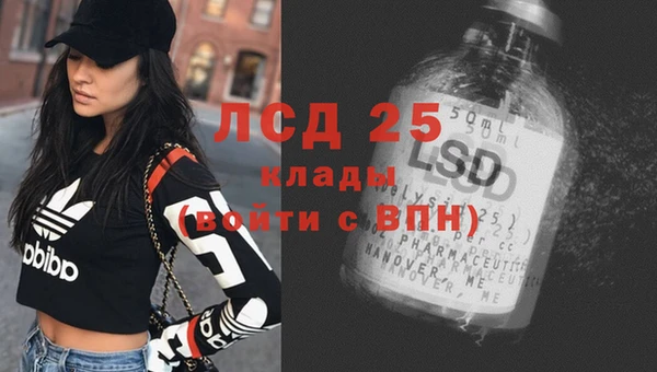 хмурый Липки