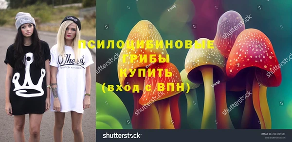 тгк Лиски