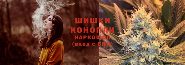 тгк Лиски