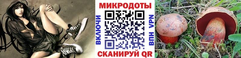 мориарти клад  купить   Малая Вишера  Псилоцибиновые грибы мухоморы 